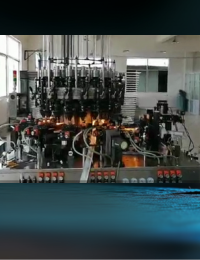 Vertical Syringe Making Machine
